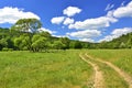 Green fields, rural road and mountains summer landscape Royalty Free Stock Photo