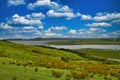 Green fields, sheep and mangroves at the coast of Karikari Peninsula, Northland, New Zealand