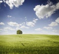 Green Fields Royalty Free Stock Photo