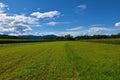 Green fields at Sorsko polje in Gorenjska, Slovenia