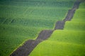 Green fields in South Moravia Royalty Free Stock Photo