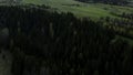 Green fields with summer trees. Clip.Bird 's - eye view of huge forest trees and fields with grass and blue sky . Royalty Free Stock Photo