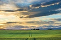 Green fields at sunset in Provence Royalty Free Stock Photo