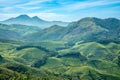 Green fields of tea plantations on the hills landscape, Eravikulam national park, Munnar, Kerala, south India Royalty Free Stock Photo