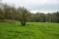 Green fields and trees at the Avijl Plateau regional park, Brussels, Belgium