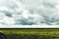 Green fields, trees, heavy grey clouds