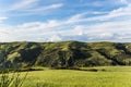 Spring landscape with green hills