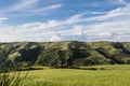 Green fields wheat Basilicata - Italy Royalty Free Stock Photo