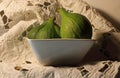 GREEN FIGS IN A SQUARE WHITE CERAMIC BOWL ON A SHELF WITH A WHITE ANGLAISE NAPKIN Royalty Free Stock Photo