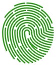 Green fingerprint. Approved authentication. Succesful login icon Royalty Free Stock Photo