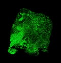 Green fingerprint on black background Royalty Free Stock Photo