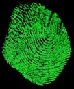 Green fingerprint on black background Royalty Free Stock Photo