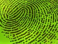 Green fingerprint Royalty Free Stock Photo