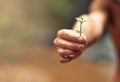 Green fingers. an unidentifiable person holding a small plant in their hand. Royalty Free Stock Photo