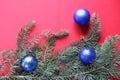 Green fir branch with blue balls on a red background for a Christmas card Royalty Free Stock Photo