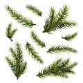 Green fir branches. Christmas tree branch, isolated pine plant. Xmas or new year decorations, realistic conifer or Royalty Free Stock Photo