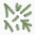 Green fir branches. Holiday decor element. Set of a Christmas tree branches. Conifer branch symbol of Christmas and New Year. Royalty Free Stock Photo