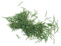 Green fir needles isolated over white background, top view. Royalty Free Stock Photo