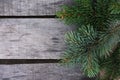 Green fir-tree branch on a wooden background