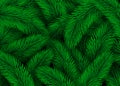 Green Fir Tree Branches. Design Christmas Background Texture Abstract Illustration