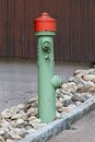 Green fire hydrant on a city sidewalk Royalty Free Stock Photo