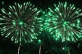 Green firework display isolated on a white and black background with a vibrant and dynamic design Royalty Free Stock Photo