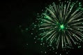 Green firework explosion isolated on white background Royalty Free Stock Photo