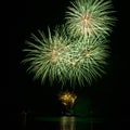 Green firework over the water Royalty Free Stock Photo