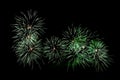Green fireworks Royalty Free Stock Photo