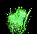 Green fireworks display black night sky background isolated close up, green firecracker burst pattern, salute explosion texture Royalty Free Stock Photo