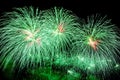 Green fireworks display. Royalty Free Stock Photo