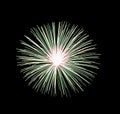 Green fireworks on black background for celebration and anniversary Royalty Free Stock Photo