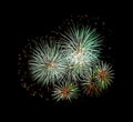 Green fireworks on black background for celebration and anniversary Royalty Free Stock Photo