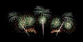 Green fireworks sparkling on night sky celebration Royalty Free Stock Photo