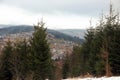 Green firs near small village on hill. Beautiful winter