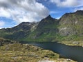 Green Fjords in the end of the Lofoten archipelago in Norway Royalty Free Stock Photo