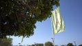A green flag with Iberdrola logo is fluttering in the wind and some branches of a tree