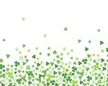 Green flat clover shamrock leaves isolated on white background border for St. Patrick`s day