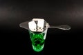 Green flavoured vodka called Absinthe served in a shot glass with a special spoon with white sugar cubes Royalty Free Stock Photo