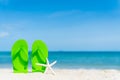 Green flip flop with starfish on sandy beach Royalty Free Stock Photo
