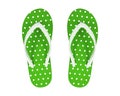 Green Flip Flops Isolated On White Background. Polka Dots Sandals.  Clipping Path
