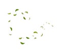 Green Floating Leaves Flying Leaves Green Leaf Dancing Air Purifier Atmosphere Simple Main Picture