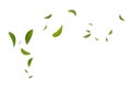 Green Floating Leaves Flying Leaves Green Leaf Dancing Air Purifier Atmosphere Simple Main Picture