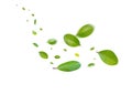 Green Floating Leaves Flying Leaves Green Leaf Dancing, Air Purifier Atmosphere Simple Main Picture Royalty Free Stock Photo