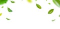 Green Floating Leaves Flying Leaves Green Leaf Dancing, Air Purifier Atmosphere Simple Main Picture