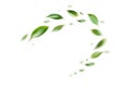 Green Floating Leaves Flying Leaves Green Leaf Dancing, Air Purifier Atmosphere Simple Main Picture on white background