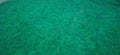 green floor carpet , green floor carpet Royalty Free Stock Photo