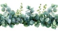 green floral banner with silver Royalty Free Stock Photo