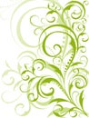 Green floral design on white background