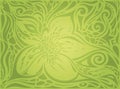 Green Floral Easter Decorative ornate pattern wallpaper vector design backround Royalty Free Stock Photo